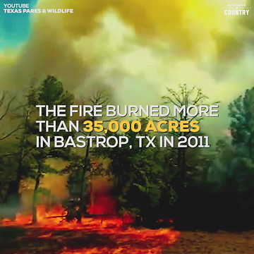 Bastrop Wildfire Spread in Real Time