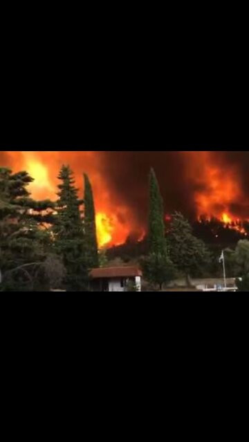 Horrific scenes of wildfire from Greece.