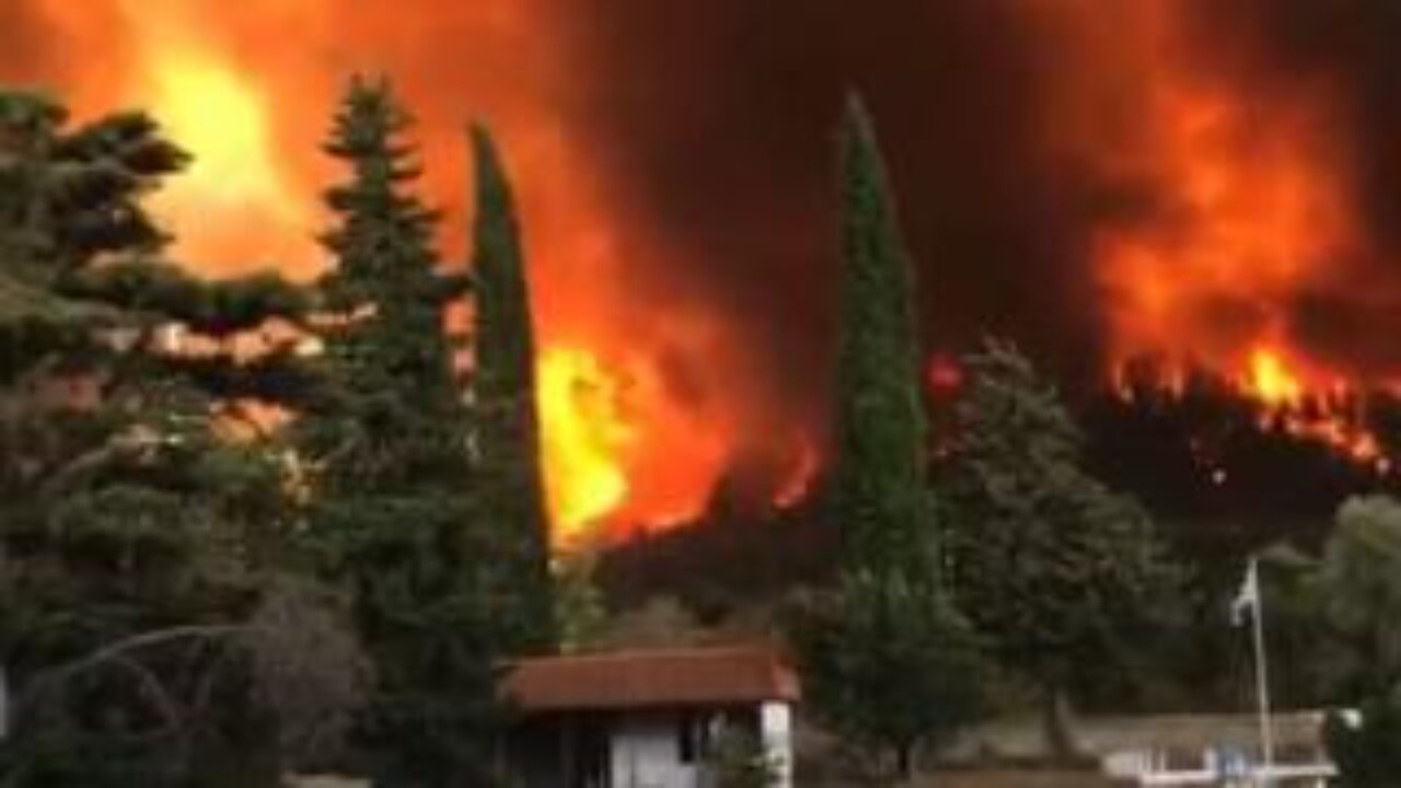 Horrific scenes of wildfire from Greece.