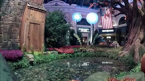 The Bellagio Conservatory Fall Display