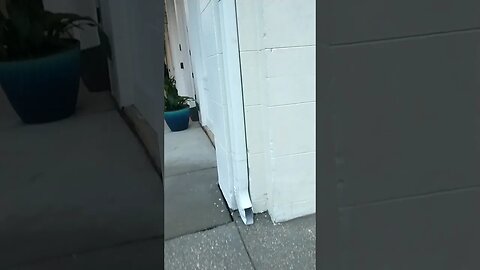 Gang Stalkers with Army license plates