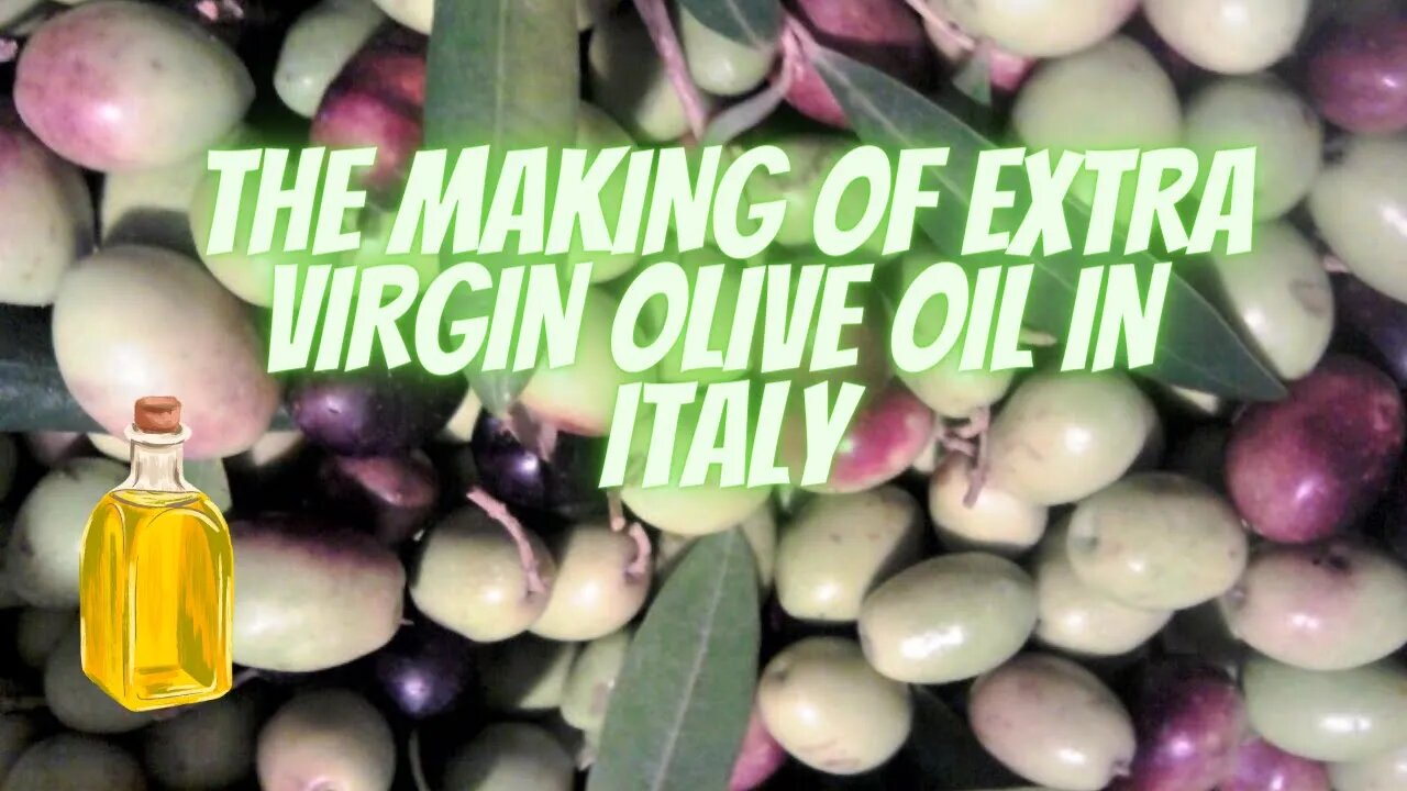 Making Olive Oil in Southern Italy