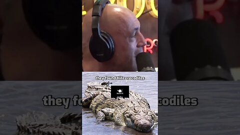 ..Joe Rogan: Florida is DONE..🐊💯