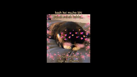 😁☺️😚😘