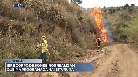 Prevenção: IEF e Corpo de Bombeiros realizam queima programada na Ibituruna.