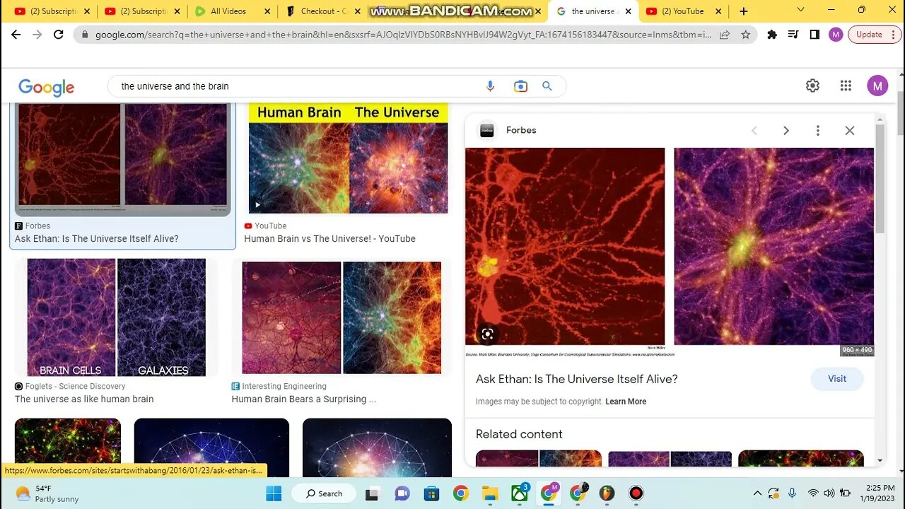 The Universe And The Brain Similarities
