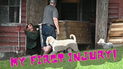 My First Injury On The New Farm!