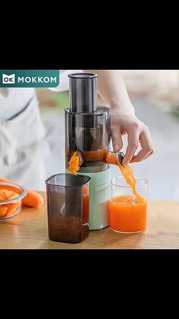 Mini Slow Juicer Household Full-automatic Small Multifunctional