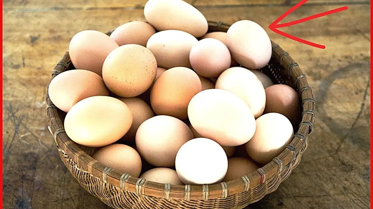 Eggs Are The New Bitcoin