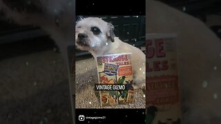 Gizmo holds comic book