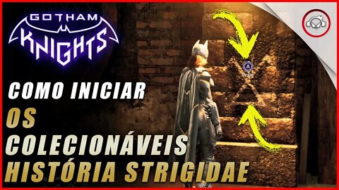 Gotham knight, Como iniciar os colecionáveis História Strigidae | Super dica