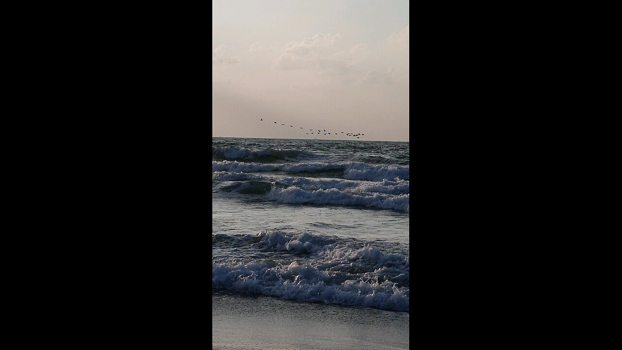 Beach View evening time with birds