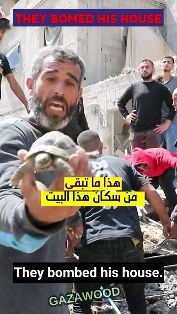 Oh no! The big, bad Israelis bo. Ed my house. The only survivors are my Turtle and Rubber duckie...?