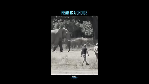 Fear is always your choice