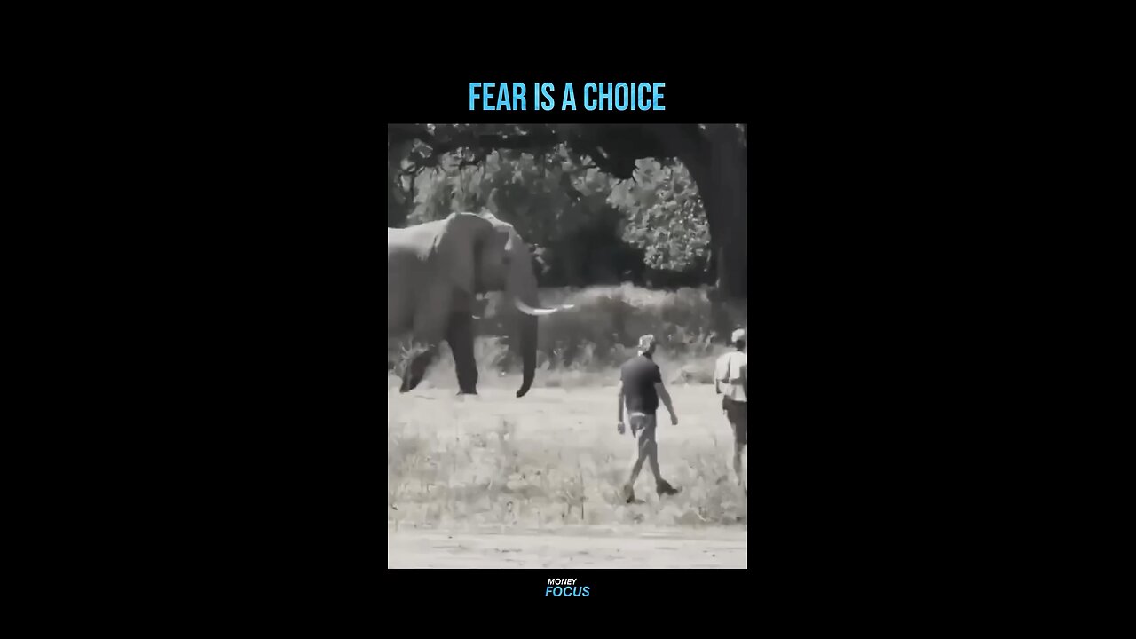 Fear is always your choice