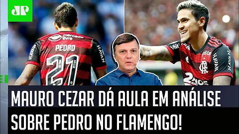 "NÃO É VERDADE que o Pedro no Flamengo..." Mauro Cezar DÁ AULA e faz ÓTIMA ANÁLISE!