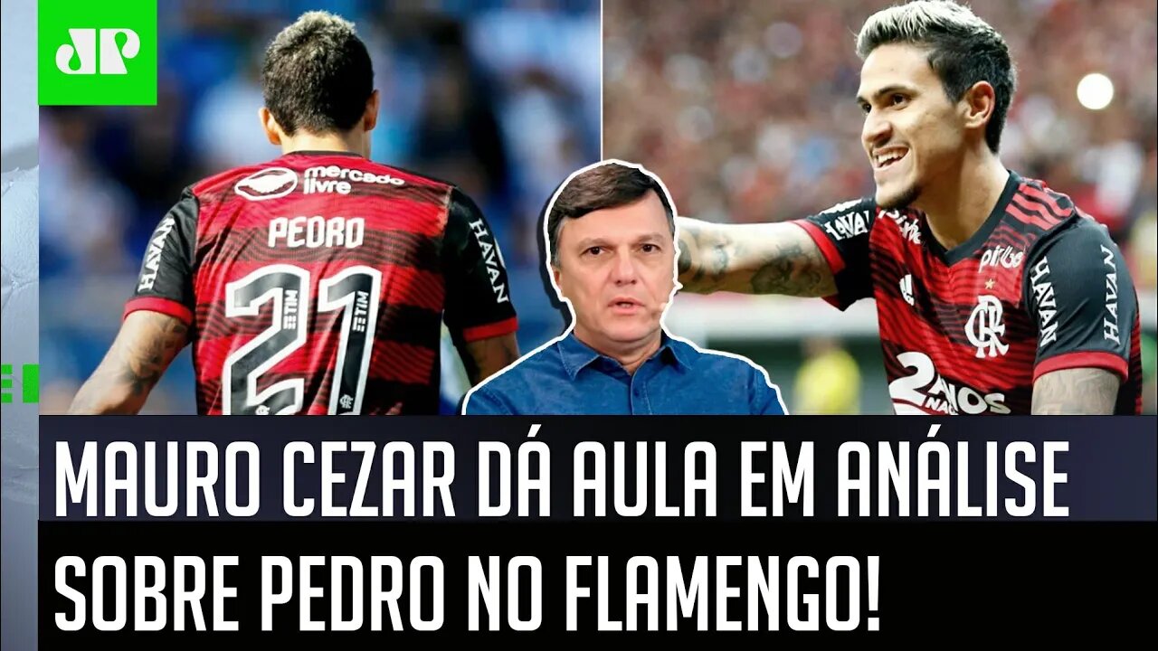 "NÃO É VERDADE que o Pedro no Flamengo..." Mauro Cezar DÁ AULA e faz ÓTIMA ANÁLISE!