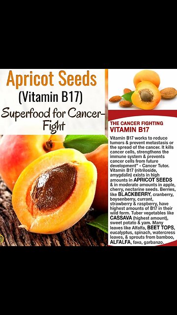 LABORATORY GROWN CHICKEN MEAT🐓🥚🩸🔬🍗 SERVED AT RESTAURANTS IN A CITY NEAR YOU🏪🥘🐚🍔💫