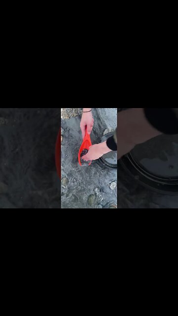 Mining gold out of blacksand deposits!