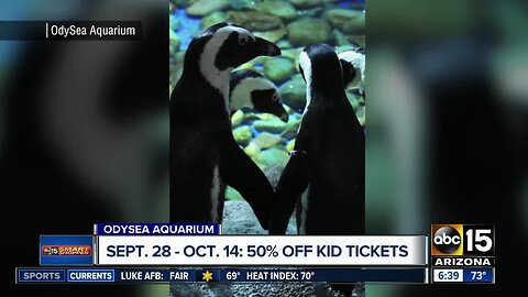 Kids get into Odysea Aquarium for half off