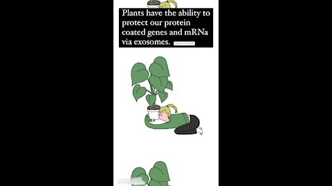 Plants can protect our RNA