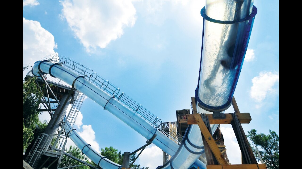 Ducks go down a huge water slide!