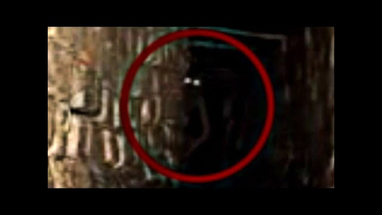 #5 Sewer Creature Caught on Camera in Real Life