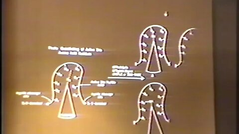 1993 10 1 IAOMT 9th Annual Science Symposium Oak Brook, IL Haley 01