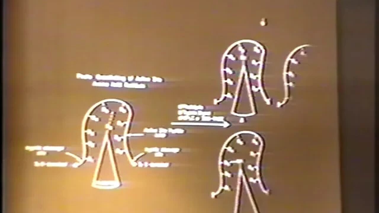 1993 10 1 IAOMT 9th Annual Science Symposium Oak Brook, IL Haley 01