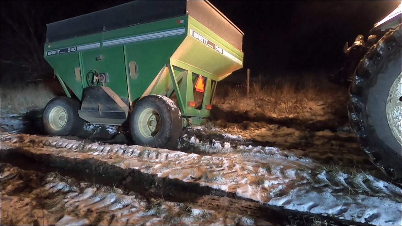 The Last Field Of Corn Isn't Getting Harvested Without A Fight!