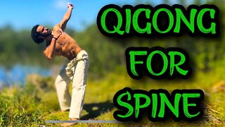 Qigong For a Healthy Spine | Follow Along