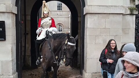 The horse bites her twice on the same #horseguardsparade