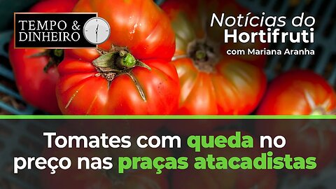 Tomates com queda no preço nas praças atacadistas