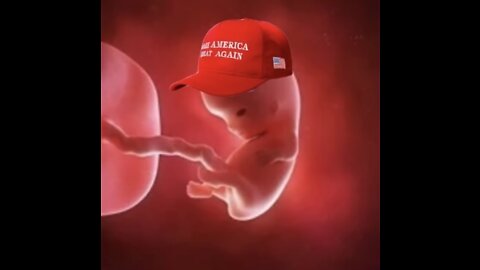 LISTEN TO THE BABY KILLERS WHINE ABOUT NOT BEING ABLE TO KILL BABIES
