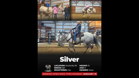 ❄𝐇𝐄𝐑𝐈𝐓𝐀𝐆𝐄 𝑾𝒊𝒏𝒕𝒆𝒓 𝑪𝒍𝒂𝒔𝒔𝒊𝒄❄ - online auction ending Monday | January 16th! Visit www.horsebid.com