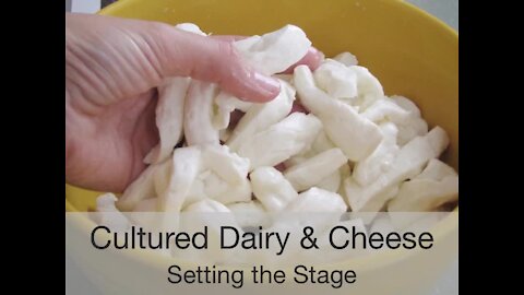 CD01 About Cultured Dairy | Cultured Dairy eCourse Lesson 01