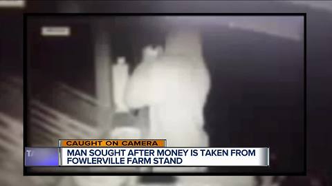 Man caught on video stealing money from roadside farm stand in Fowlerville