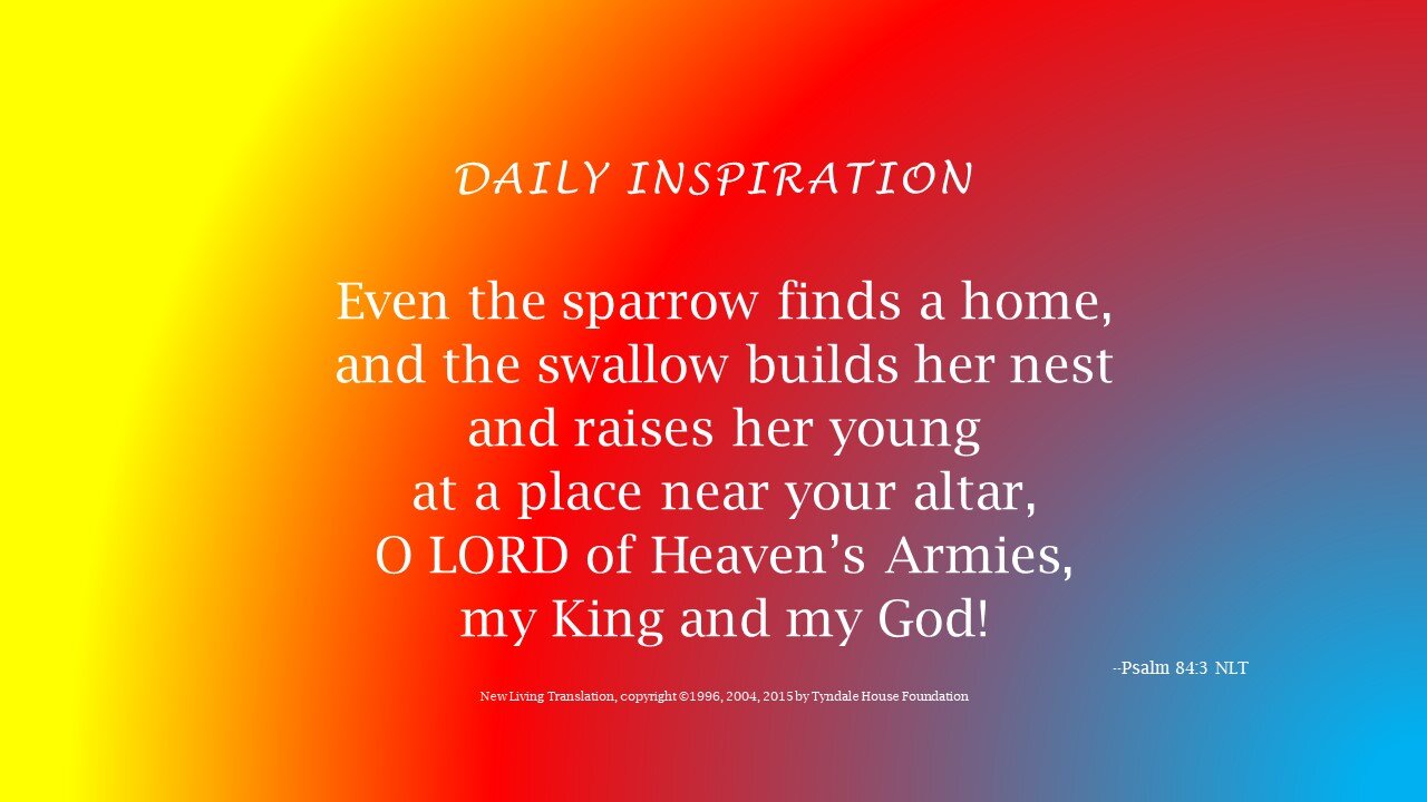 One Minute Daily Devotional -- Psalm 84:3