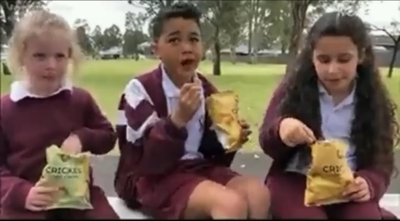 Australian schools have just introduced their canteens snacks containing bugs…