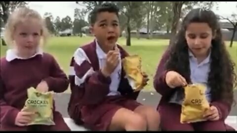 Australian schools have just introduced their canteens snacks containing bugs…