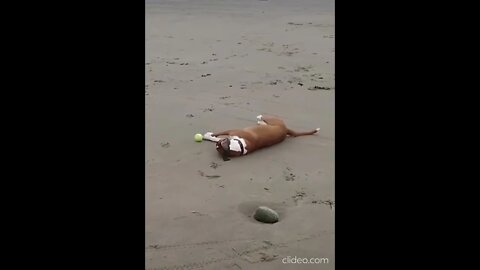 He Completely Just Gave Up