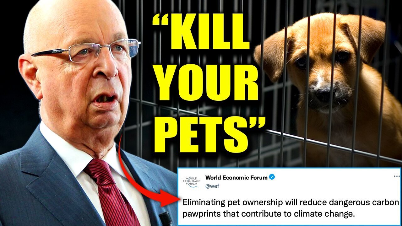 WEF Wants To Slaughter Millions of Pet Cats and Dogs To Fight Climate Change!