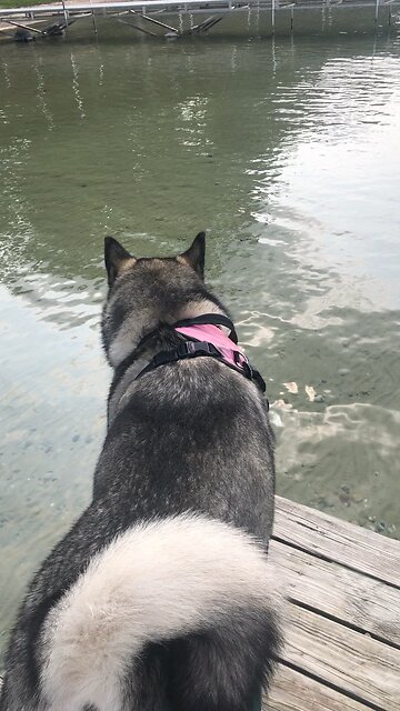 Tuesday Sept 10, Then you will know what God wants you to do.