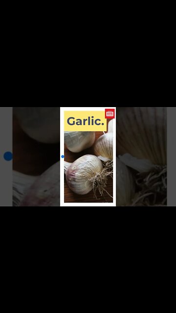 Best Foods For Gut Health. #shorts