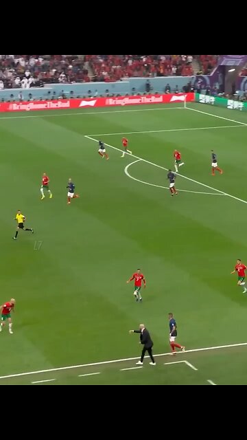 Legendary Sprint Speeds (short video)