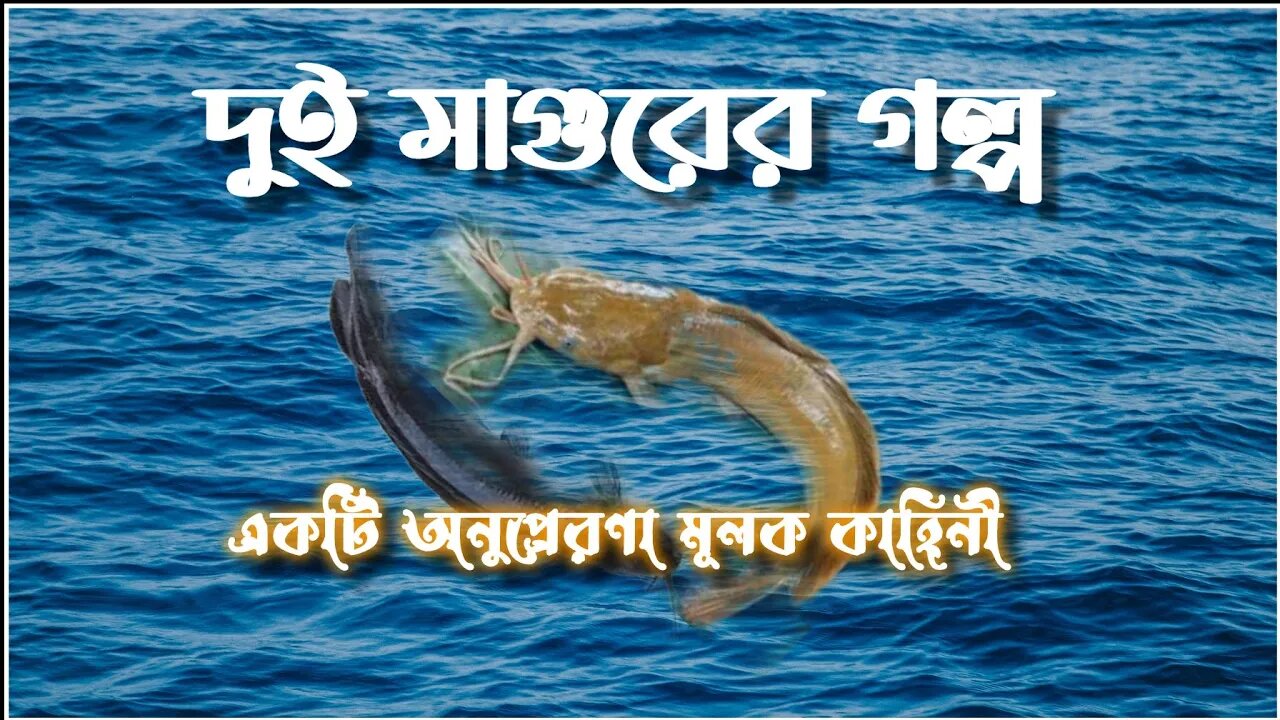 ll আপনি কি জীবনের এই পর্যায়ে চরম হতাশাগ্রস্ত? ভগবানে আস্থা হারাচ্ছেন? তাহলে এই গল্পটি আপনার জন্য ll