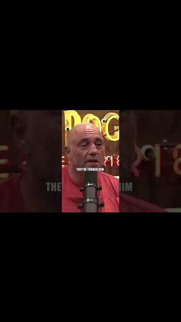 Joe Rogan Dog 🐶 VS. 🐺 Wolf