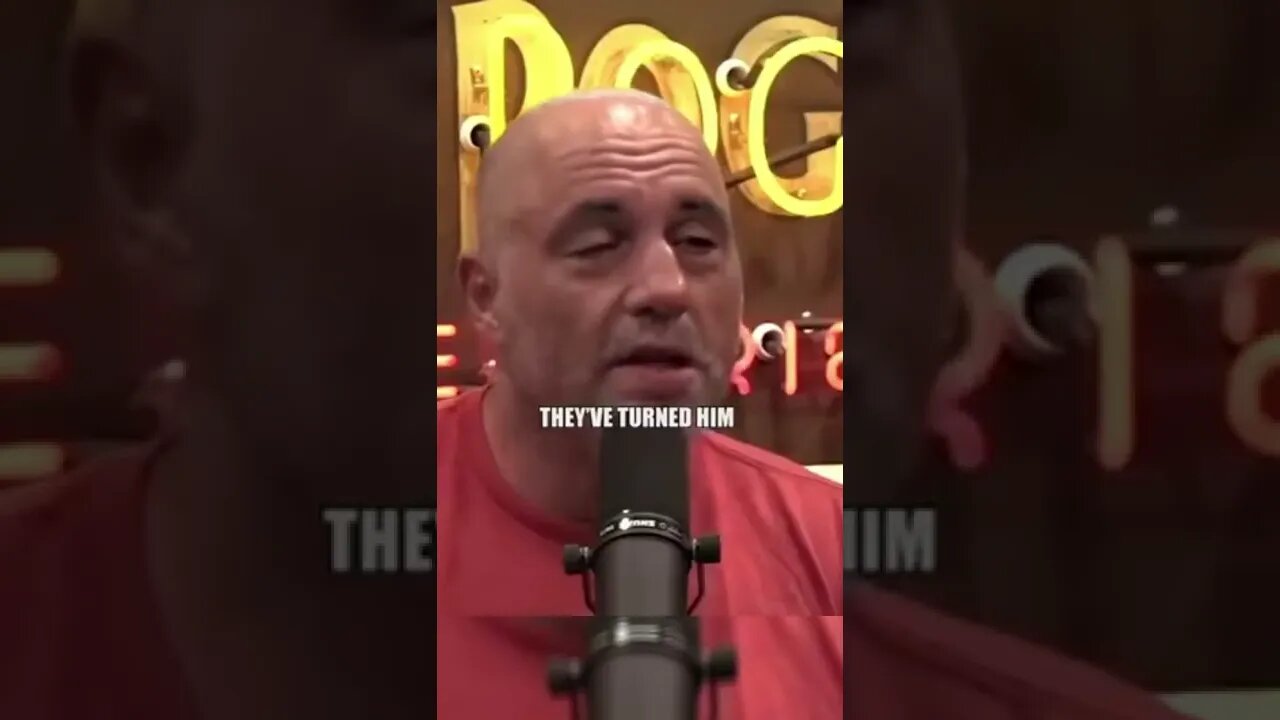 Joe Rogan Dog 🐶 VS. 🐺 Wolf