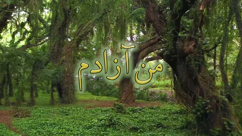 Man Azadam | من آزادم