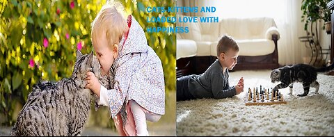 Cats make you feel good😂Videos of funny cats and kittens for children